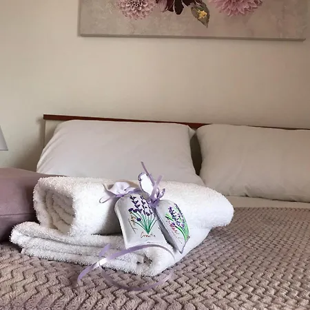 Apartment Miroslava *